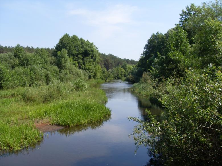 Free stock image of River created by Berdnik Oleksander