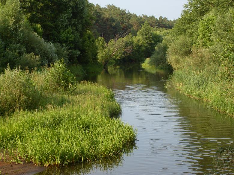 Free stock image of River created by Berdnik Oleksander