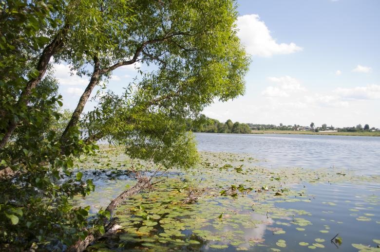 Free stock image of Lake created by Berdnik Oleksander