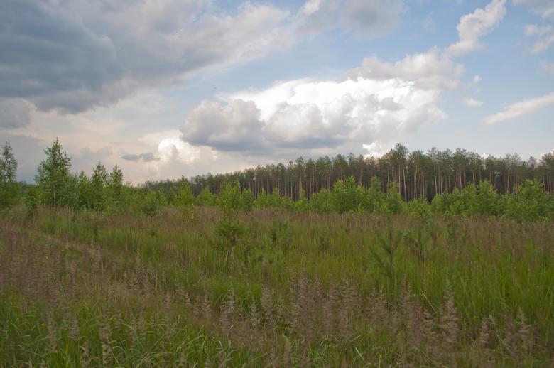 Free stock image of Landscape created by Berdnik Oleksander