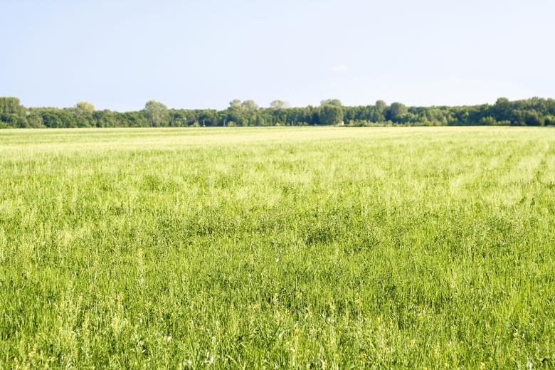 Free stock image of Field created by 2happy