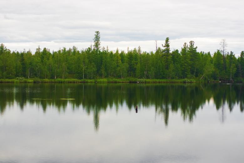 Free stock image of Summer scenery created by 2happy