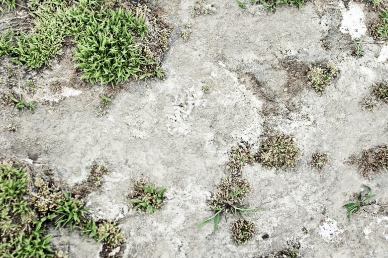 Free stock image of Clay Surface created by Bjorgvin