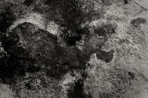 Free Stock Photo of Grunge Mud Texture