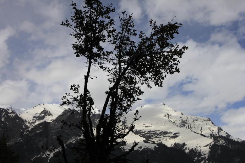 Free stock image of Snow Mountains created by kumar pal jain