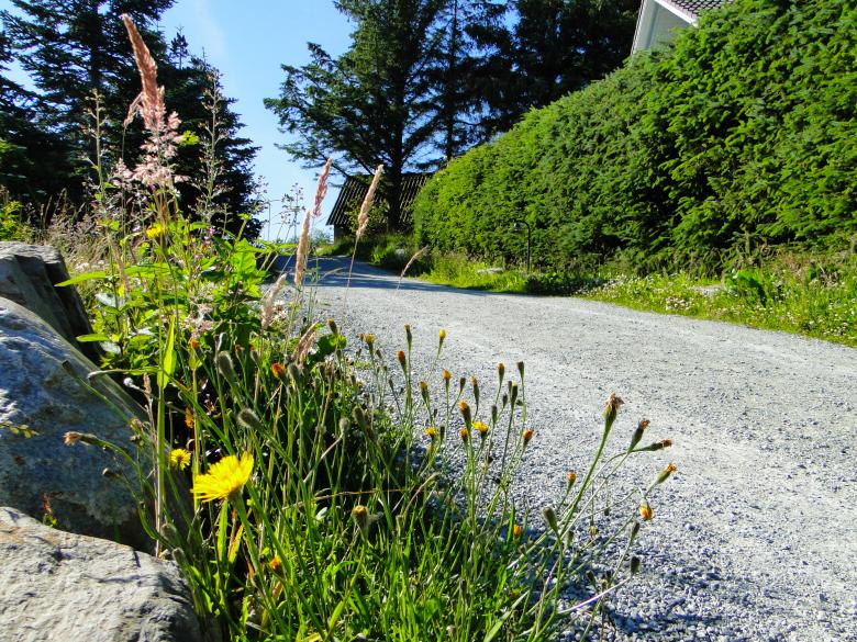 Free stock image of Road created by Ryan Wiggill