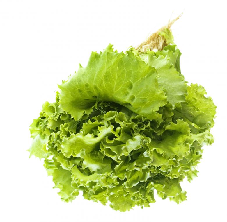 Free stock image of Greens isolated created by 2happy