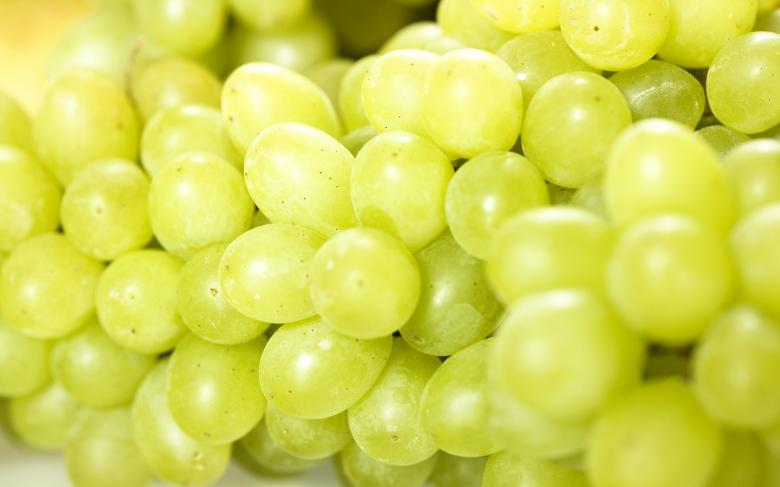 Free stock image of grapes  created by 2happy