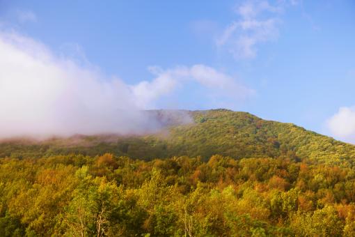 Free Stock Photo of autumn scene