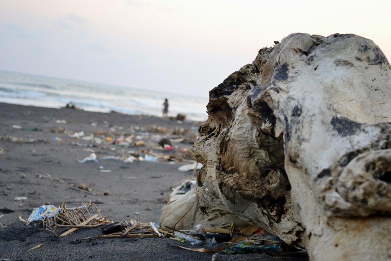 Free stock image of Dirty Beach created by ramadhani miterang