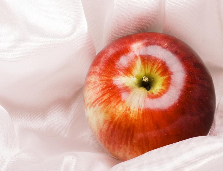 Free stock image of Red Apple on White Cloth created by 2happy