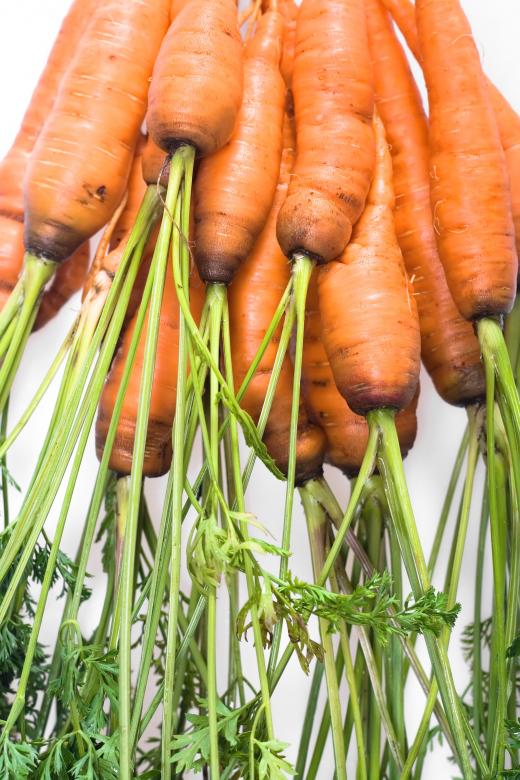 Free stock image of Fresh Carrots created by 2happy