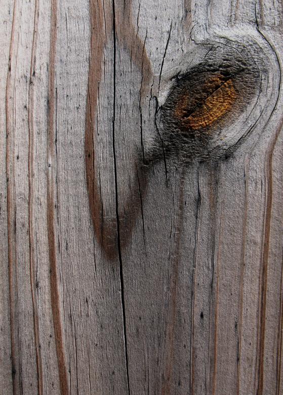 Free stock image of Wood Texture created by Free Texture Friday
