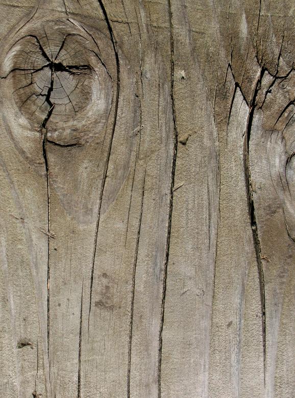 Free stock image of Wood Texture created by Free Texture Friday