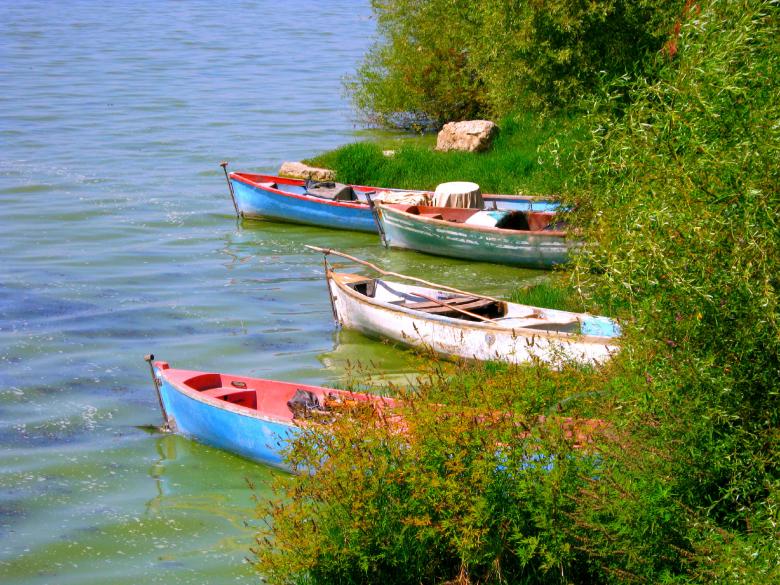 Free stock image of Three Boats in Reeds created by mrceviz