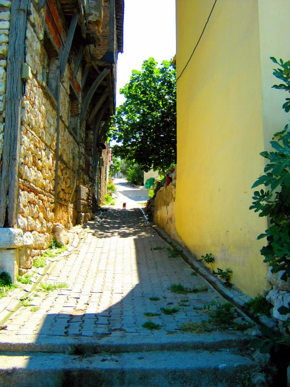 Free stock image of Little street created by mrceviz