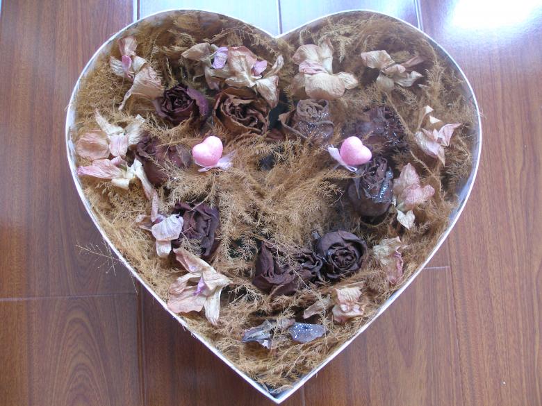 Free stock image of Flower heart created by Nguyen Thao