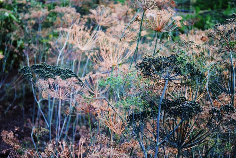 Free stock image of nature scene created by 2happy