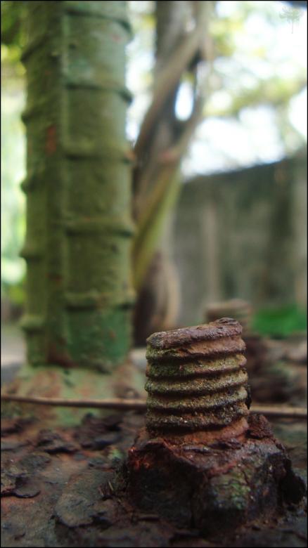 Free stock image of Rusted Bolt created by RIC ALTEA