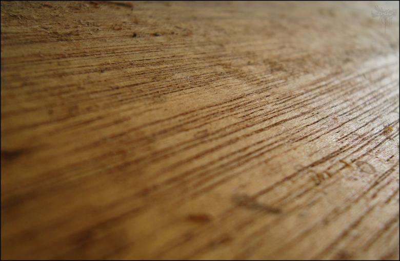 Free stock image of Wood Texture created by RIC ALTEA