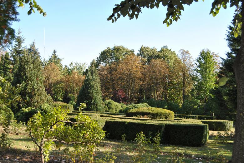 Free stock image of Green Garden created by volf laurentiu emanuel
