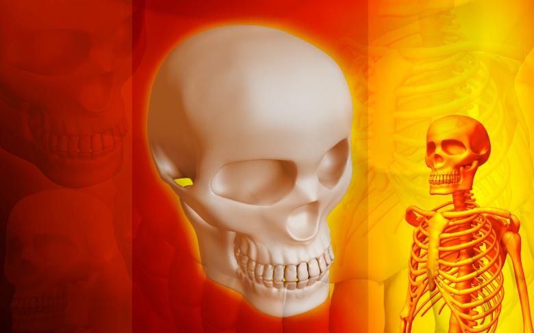 Free stock image of Red Skeletal Medical Background created by dileepdivakaran