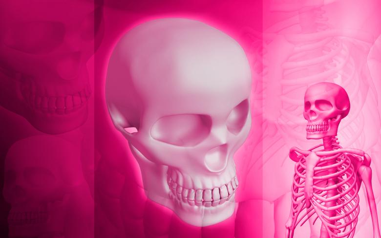 Free stock image of Pink Skeletal Background - Medial Illustration created by dileepdivakaran