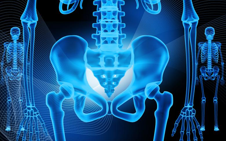Free stock image of Skeletal X-Ray - Blue created by dileepdivakaran