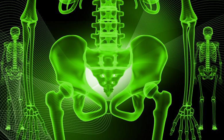 Free stock image of Skeletal X-Ray - Green created by dileepdivakaran