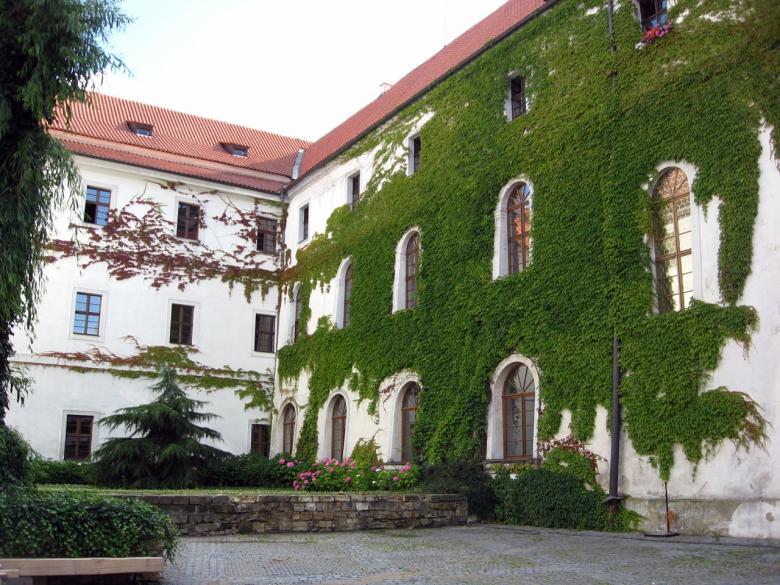 Free stock image of House wrapped in grapes, Prague created by Andrej