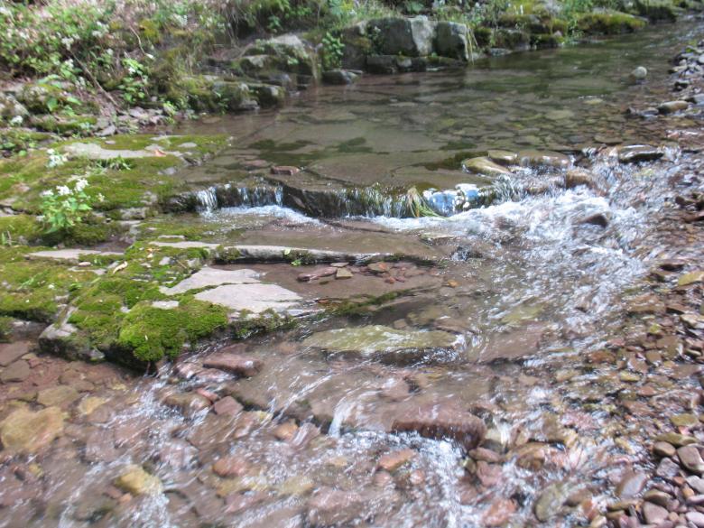 Free stock image of Stream created by cheryl bowes