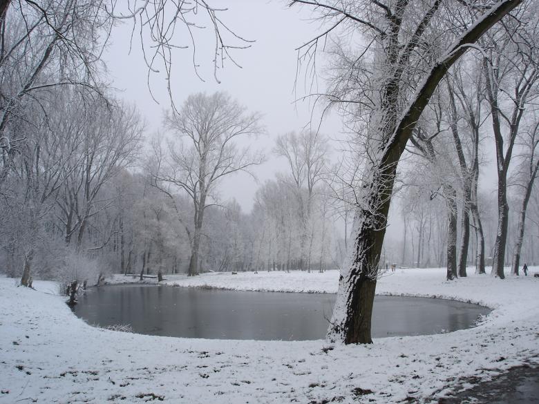 Free stock image of Winter lake created by Katarzyna Kozłowska
