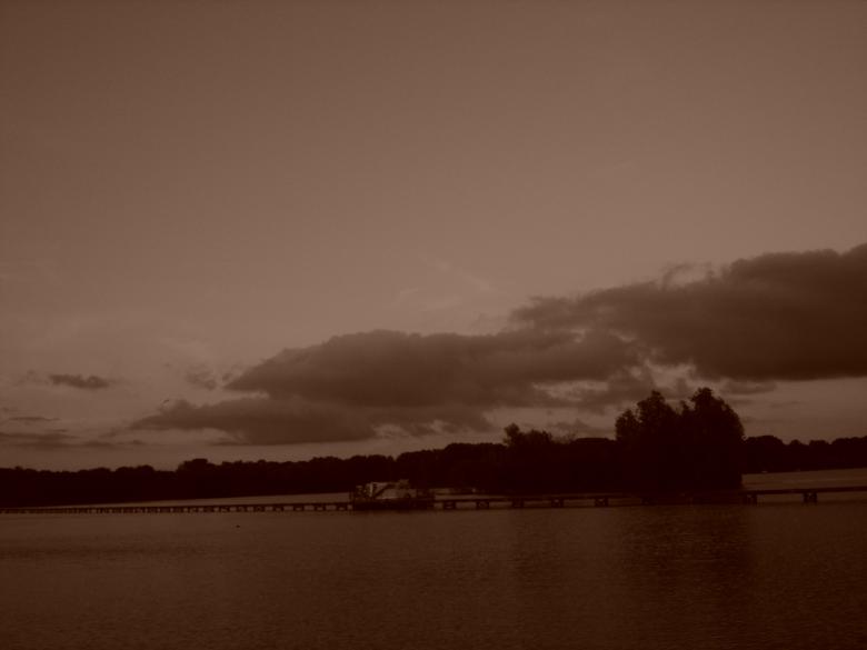Free stock image of Rotterdam Park created by Katarzyna Kozłowska