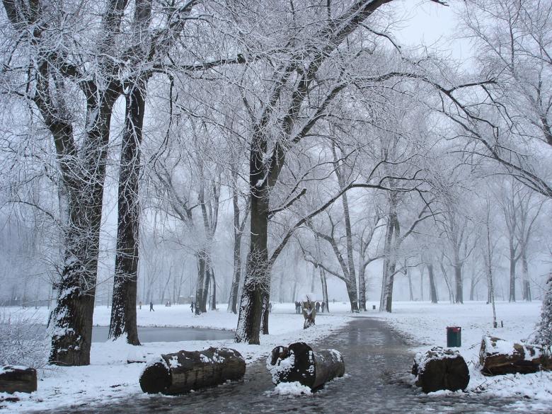 Free stock image of Winter time created by Katarzyna Kozłowska