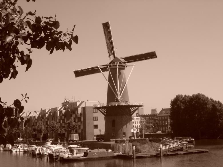 Free stock image of Sepia windmill created by Katarzyna Kozłowska