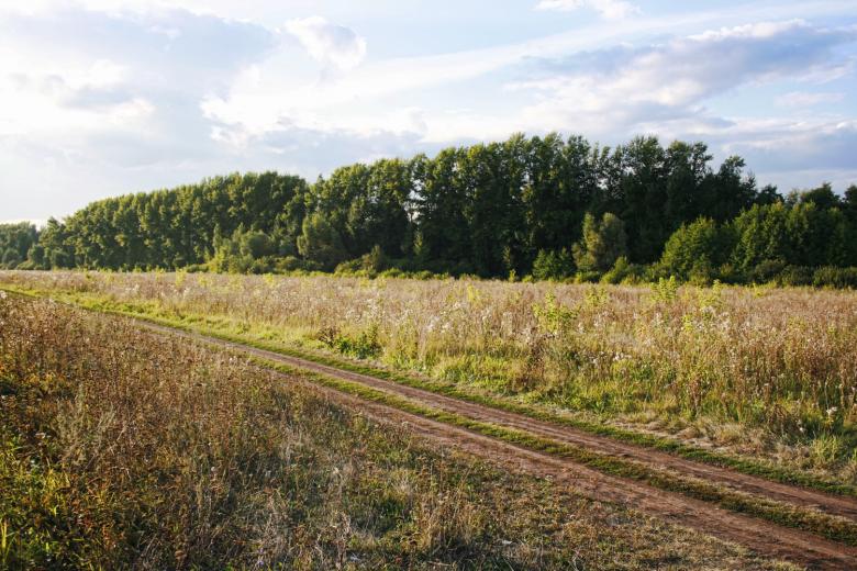 Free stock image of Country road  created by 2happy