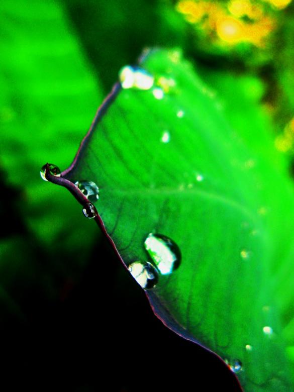 Free stock image of Taleus Gandola created by yovanfujiwangga
