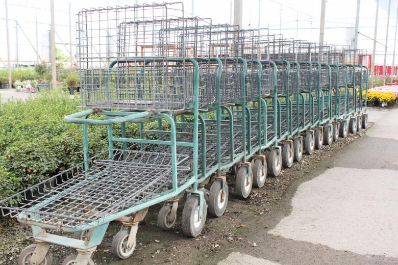 Free stock image of Shopping carts in a garden center created by Val Lawless
