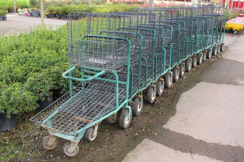 Free stock image of Shopping carts in a garden center created by Val Lawless