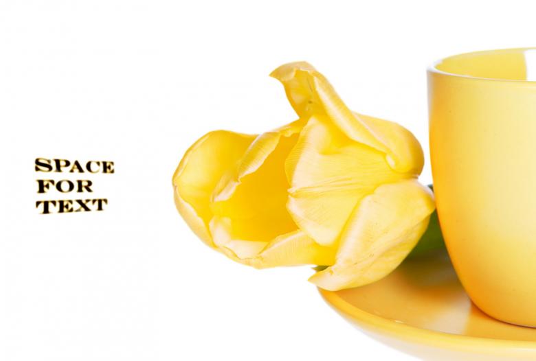 Free stock image of Teacup with tulip created by 2happy