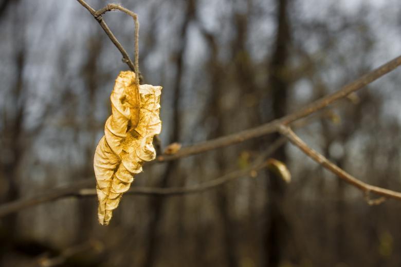 Free stock image of Autumn Leaf Scene created by 2happy