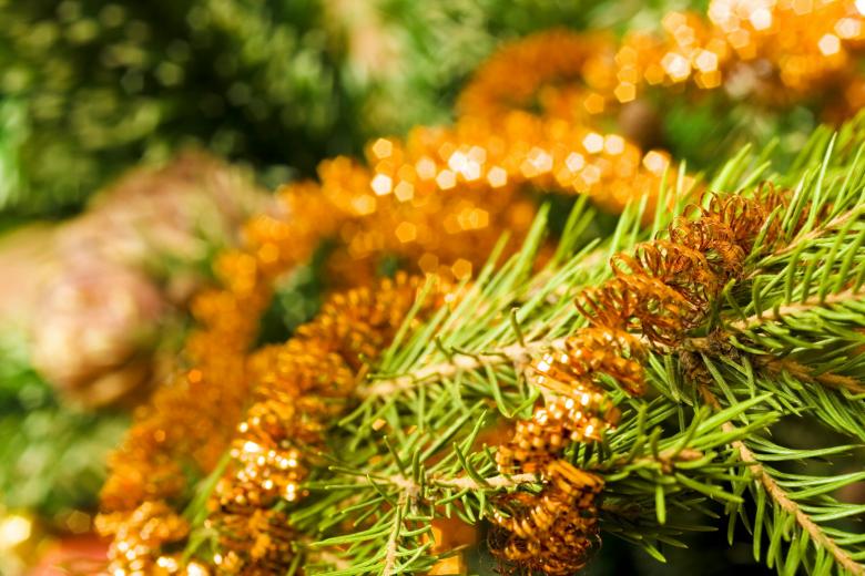 Free stock image of christmas-tree created by 2happy