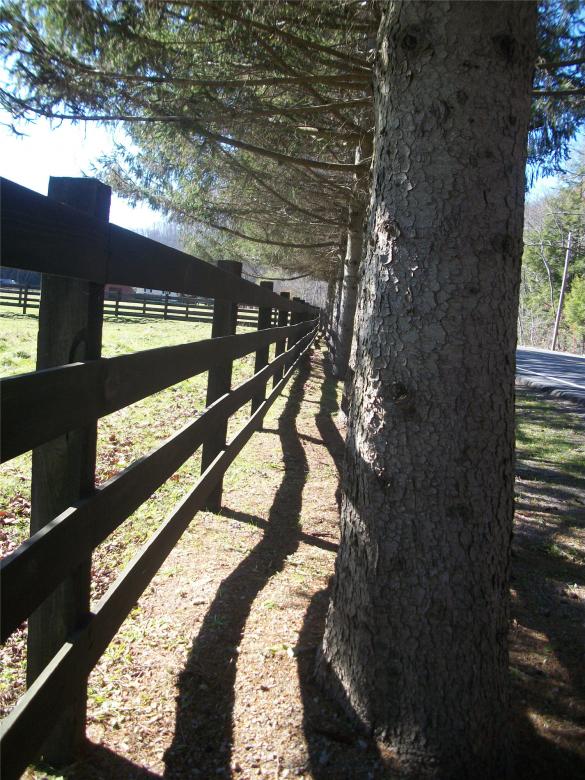 Free stock image of Country Perspective created by Nature Girl
