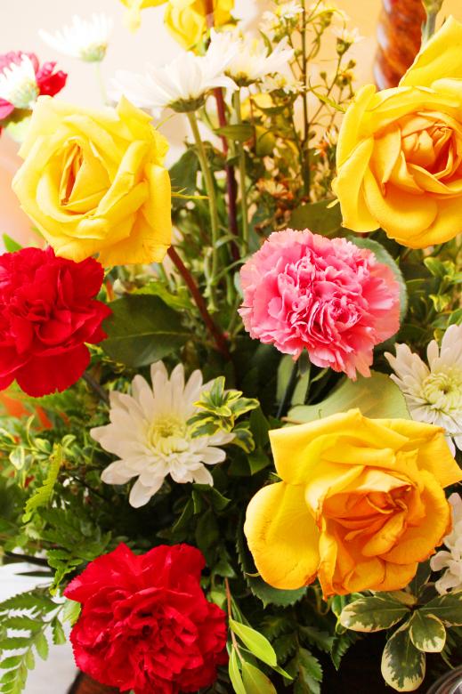 Free stock image of Flowers created by Val Lawless
