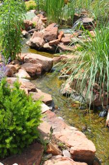 Free Stock Photo of Stream