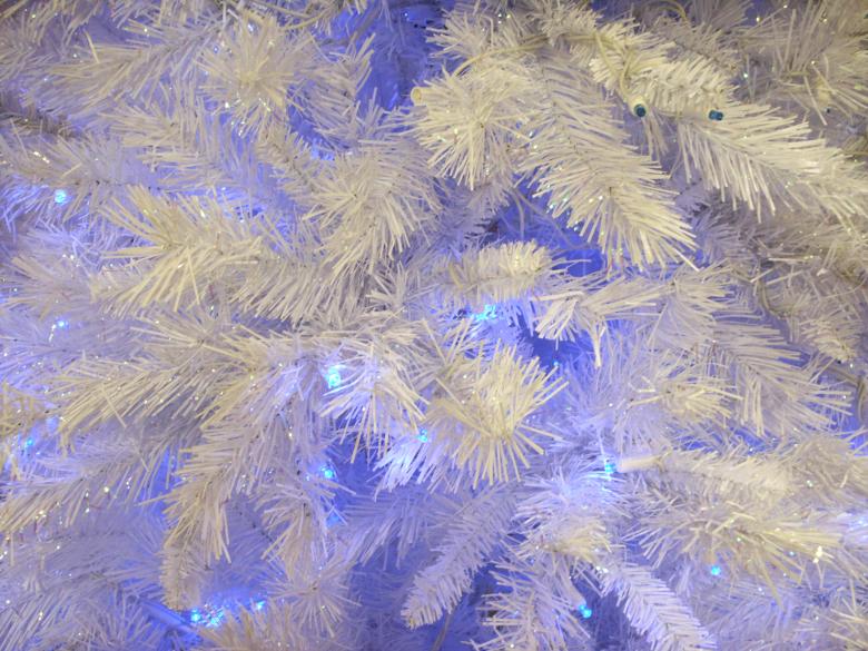 Free stock image of Purple and white Christmas tree created by Val Lawless