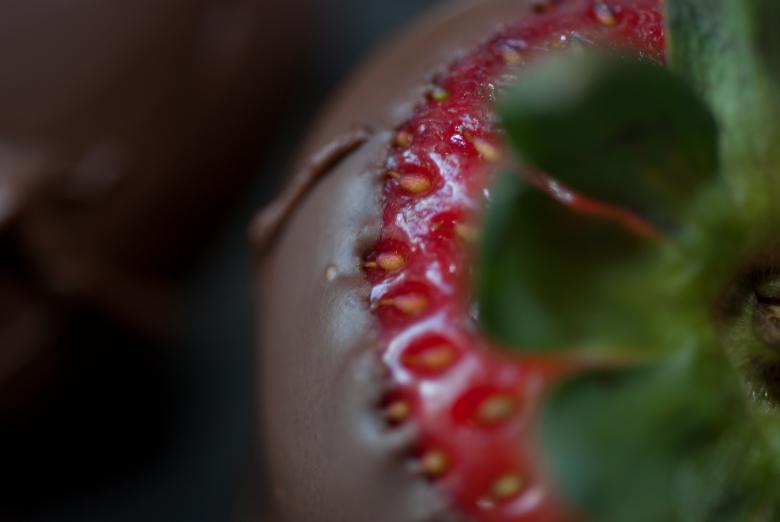 Free stock image of Strawberry and Chocolate created by Elizabeth Lehrke