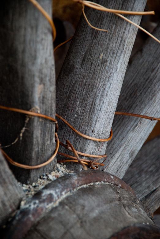 Free stock image of Wheel  created by Elizabeth Lehrke