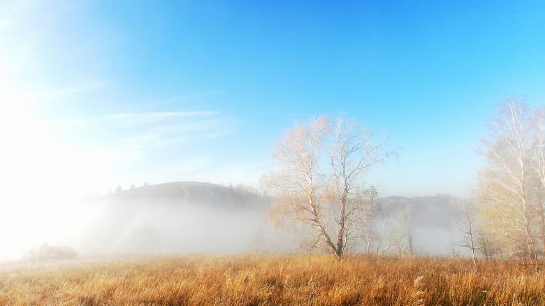 Free stock image of Tree in clouds  created by Ravil Shafikov