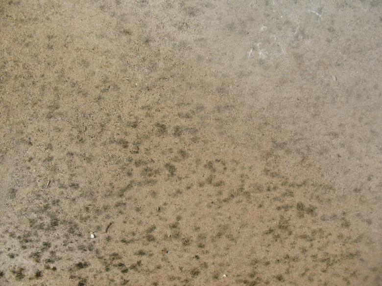 Free stock image of Tan Concrete Texture created by Free Texture Friday